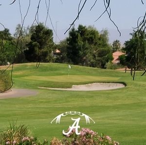 Meet your Posher, Brown